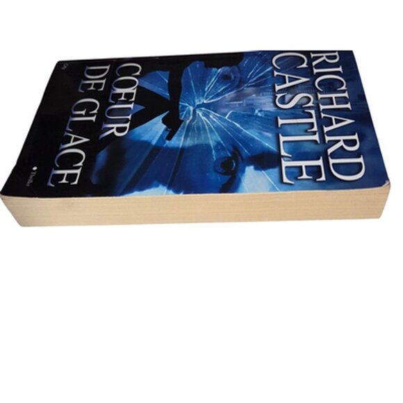 Richard Castle Coeur de Glace French Thriller Softcover Paris Mystery Book - Picture 14 of 15